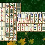 Một bố cục các quân bài xếp chồng lên nhau trên nền xanh với họa tiết lá cây