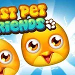 Ba chú gà con màu vàng với đôi mắt to tròn và biểu cảm vui vẻ, bên cạnh dòng chữ Best Pet Friends đầy màu sắc trên nền xanh sáng