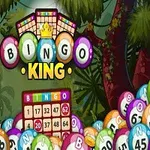 Hình ảnh có các quả bóng bingo đầy màu sắc và bảng số với dòng chữ Bingo King trên nền khu rừng nhiệt đới
