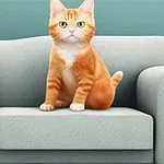 Chú mèo lông cam đang ngồi trên ghế sofa màu xám