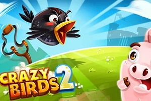 Chú chim màu đen đang bay trên không trung với nền cỏ xanh và heo hồng, kèm theo chữ Crazy Birds 2