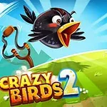 Chú chim màu đen đang bay trên không trung với nền cỏ xanh và heo hồng, kèm theo chữ Crazy Birds 2