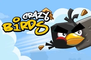 Chú chim màu đen với đôi mày rậm đang bay, cùng với chữ CRAZY BIRDS trên nền trời xanh có mây