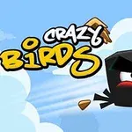 Chú chim màu đen với đôi mày rậm đang bay, cùng với chữ CRAZY BIRDS trên nền trời xanh có mây