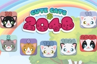 2048 cùng mèo