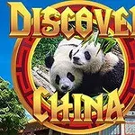 Hai chú gấu trúc nằm cạnh nhau trên nền khung cảnh kiến trúc Trung Quốc với chữ Discover China ở trên