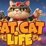 Một con mèo mập lông xám đứng trong giỏ, phía trước là dòng chữ Fat Cat Life