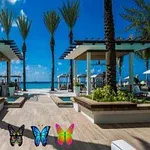 Khung cảnh bãi biển với hàng dừa xanh mướt, các chòi nghỉ mát hiện đại, bầu trời xanh thẳm và ba con bướm nhiều màu sắc ở phía trước