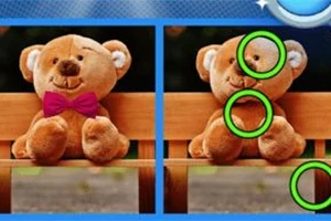 Hai hình ảnh song song của một chú gấu bông màu nâu trên ghế gỗ, với các điểm khác biệt được đánh dấu bằng vòng tròn màu xanh lục