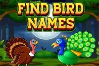 Trò chơi hangman cổ điển đoán tên các loài chim.