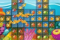 Kết nối các khối cá giống nhau