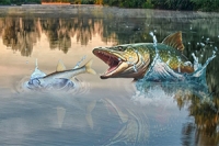 Trong Fish Rain, hãy bắt con cá lớn nhất!