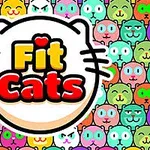 Hình ảnh có logo Fit Cats trong một khung hình đầu mèo, nền là các khuôn mặt mèo nhiều màu