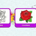 Hình ảnh hoa hồng gồm hai phần: một phần là bản vẽ đen trắng và một phần là bông hoa đã được tô màu đỏ với lá xanh