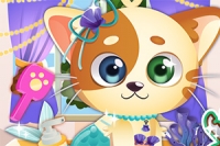 Meow! Chăm sóc chú mèo hoang đáng yêu nhé!