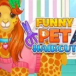Hình ảnh hai con vật đáng yêu với kiểu tóc sáng tạo, trang phục màu sắc, và chữ Funny Pet Haircut trên phông nền sọc màu