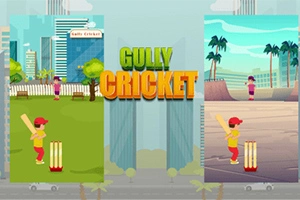 Hình ảnh có hai cảnh chơi cricket, một bên là khu phố với tòa nhà cao tầng và một bên là bãi biển với cây cọ, cùng chữ Gully Cricket ở giữa