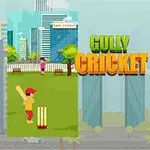Hình ảnh có hai cảnh chơi cricket, một bên là khu phố với tòa nhà cao tầng và một bên là bãi biển với cây cọ, cùng chữ Gully Cricket ở giữa