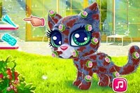 Chăm sóc chú mèo con dễ thương và tạo phong cách độc đáo cho nó!