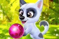 Chăm sóc tốt cho chú cún con đáng yêu và tạo phong cách độc đáo cho bé!