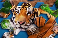 Trò chơi ghép hình Hexa Jigsaw Puzzle sáng tạo và thú vị
