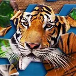 Hình ảnh mô tả một con hổ với bộ lông cam vằn đen và ánh mắt sắc nét đang ghép lại từ các mảnh ghép hình lục giác