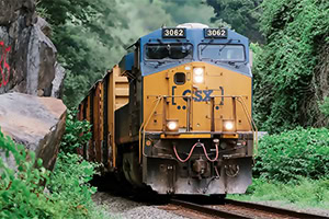 Một đoàn tàu màu xanh và vàng đi qua khu vực cây cối xanh tốt và vách đá