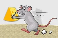 Jet Micky đang rất đói và cần được cho ăn