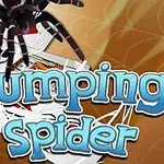 Một con nhện nhảy gần các lá bài với chữ Jumping Spider nổi bật ở phía trước