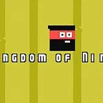 Hình ảnh có nền màu vàng với hình một khuôn mặt ninja hoạt hình đơn giản ở giữa, cùng dòng chữ Kingdom of Ninja 2