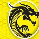 Biểu tượng rồng đen trên nền hình lục giác màu vàng