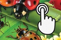 Thử thách sự nhanh nhẹn của bạn