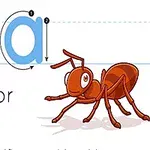 Chữ cái A in hoa và thường với hình vẽ một con kiến