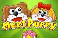 Trong Meet Puppy, một cặp chó bị lạc nhau và không biết phải