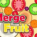 Các lát trái cây nhiều màu sắc như kiwi, cam, cà chua và quả mọng với dòng chữ Merge Fruit ở trung tâm