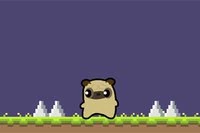 Cuộc phiêu lưu Pug Love bắt đầu hôm nay!