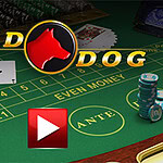 Bàn chơi bài với các lá bài, chip poker và logo có hình chú chó đỏ