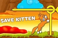 Thảm họa! Mèo Tom tức giận dụ mèo con vào tháp của hắn