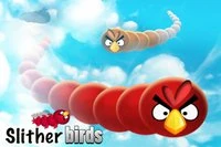 Bạn đã thấy chim trườn bò bao giờ chưa, nếu chưa thì hãy