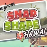 Hình ảnh có dòng chữ Aloha from Snap the Shape Hawaii với hình ảnh cây dừa và nhà gỗ ven biển