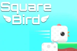 Hình ảnh một con chim vuông màu trắng với mào đỏ và dòng chữ Square Bird có cánh trên nền màu xanh da trời