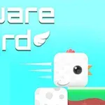 Hình ảnh một con chim vuông màu trắng với mào đỏ và dòng chữ Square Bird có cánh trên nền màu xanh da trời
