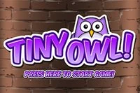 Thoát hiểm! Tránh Dơi và Mỏ trong Tiny Owl!