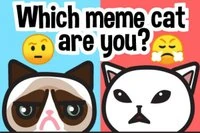 Tìm mèo meme của bạn: Câu đố Emoji