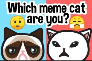 Hai con mèo hoạt hình với biểu cảm khác nhau, được phân tách bởi nền màu xanh và đỏ, cùng dòng chữ Which meme cat are you?