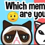 Hai con mèo hoạt hình với biểu cảm khác nhau, được phân tách bởi nền màu xanh và đỏ, cùng dòng chữ Which meme cat are you?