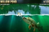 Willow Pond là trò chơi giả lập câu cá đầy màu sắc