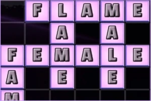 Văn bản chữ cái màu xám nổi bật trên các ô vuông màu tím và đen, với những từ như FLAME và FEMALE